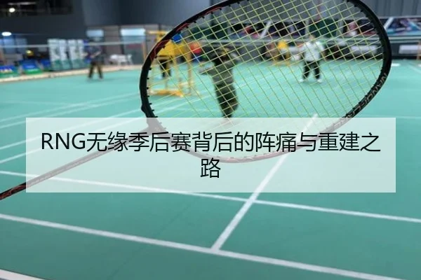 RNG无缘季后赛背后的阵痛与重建之路