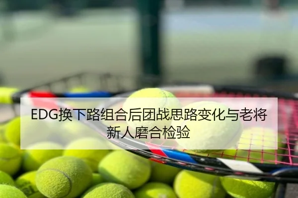 EDG换下路组合后团战思路变化与老将新人磨合检验