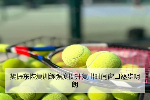 樊振东恢复训练强度提升复出时间窗口逐步明朗